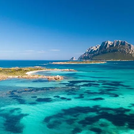 Апартаменти Elicriso 29 Private Courtyard Near Costa Smeralda Ольбія